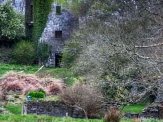 Castle Tower, County Mayo Color Photography