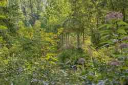 Peirce’s Woods at Longwood Gardens, Longwood Gardens Color Photography