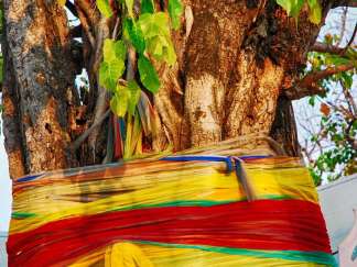 Spirit Tree, Thailand Color Photography