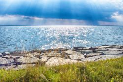 Tilghman Island Shore, Tilghman Island Color Photography