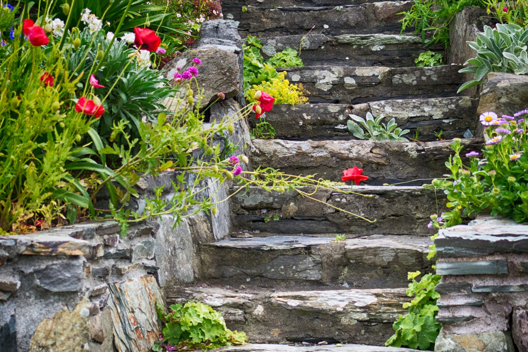 Welcoming Stone Steps