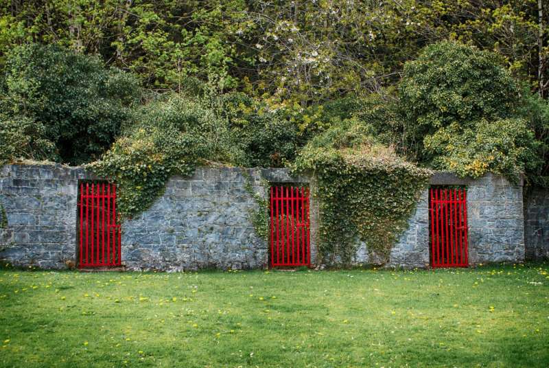 Where Nature Meets Artistry