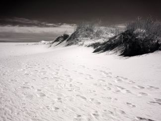 Assateague Island Footprints, Maryland Fine Art Prints