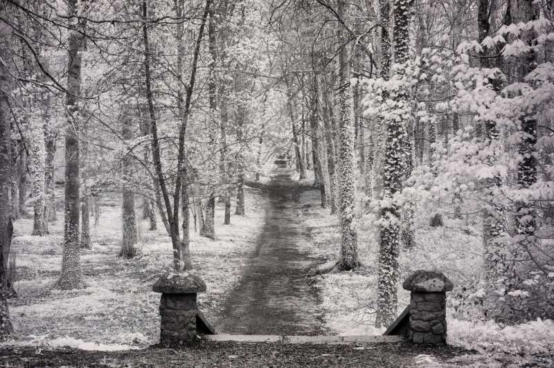 BW-Coole Park Pathway