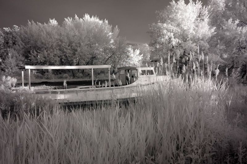 Fishing Boat In Winter, Tilghman Island Black and White Prints