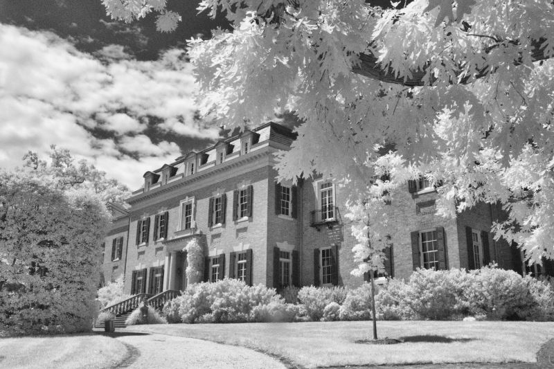 Dunbarton Oaks Infrared Photo