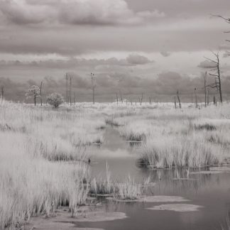 Infrared image Hoopers Island, Maryland Canvas Art Prints