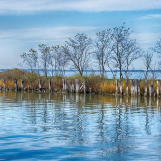 Serenity of Claiborne, Maryland Color Photo Prints