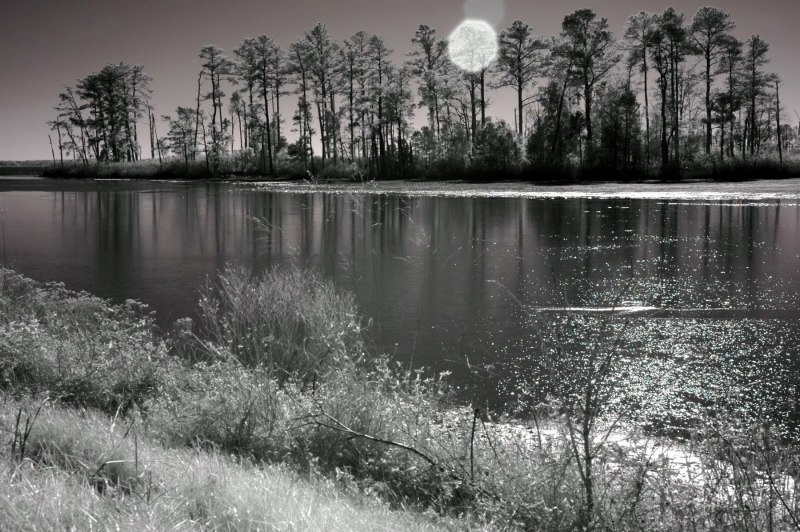 Sun Over Blackwater