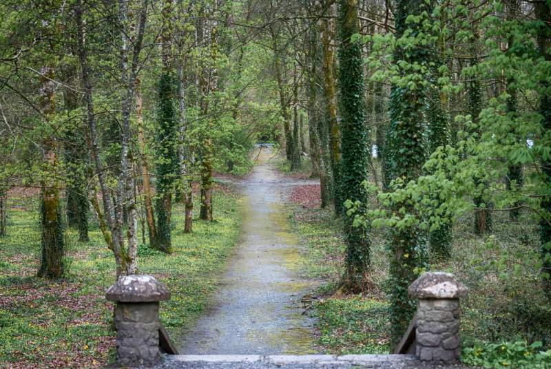 The Path Less Traveled