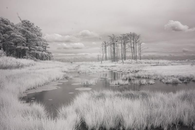 Tranquility at Hoopers Island, Maryland Canvas Art Prints