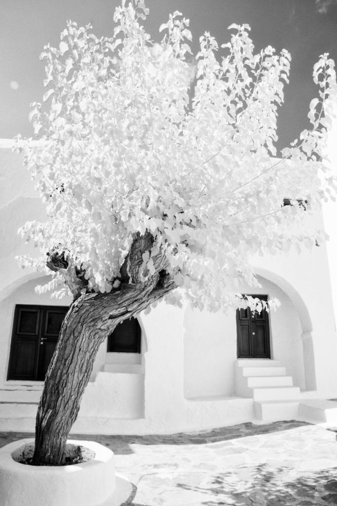Cycladic Architecture with Infrared Tree Glow, Greece Framed Art Prints