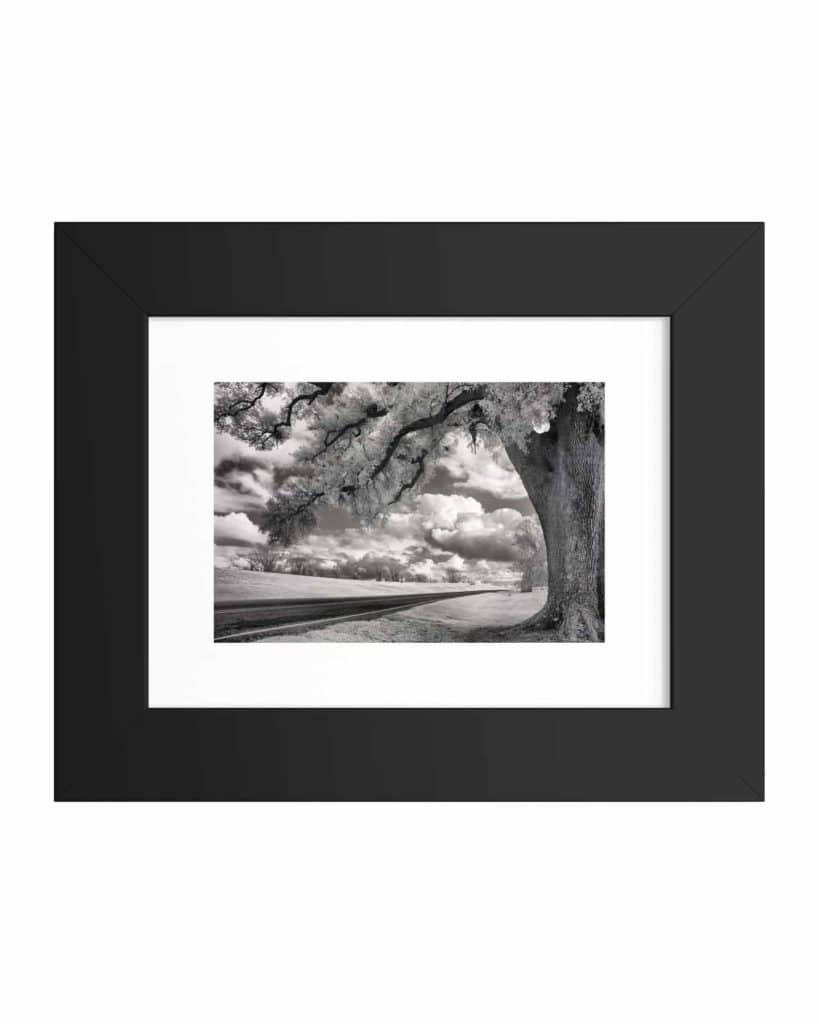 Framed Print River Road Louisiana, Louisiana Framed Art Prints