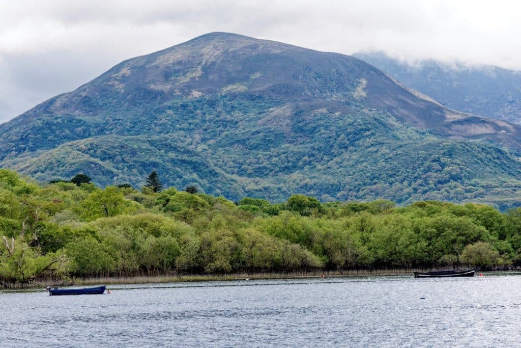 Killarney National Park Landscape, County Kerry Color Photos, Ireland fine art photography