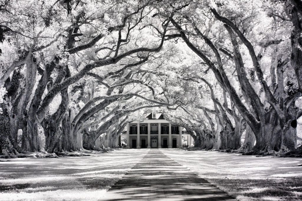 Oak Alley Plantation, Louisiana Framed Art Prints