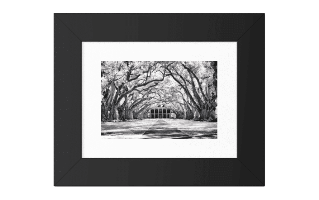 Oak Alley Plantation Framed Print, Louisiana Framed Art Prints