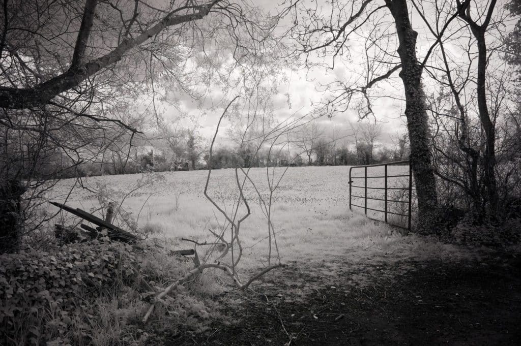 Open Gate at Ballyaneen, Ireland Black and White Canvas Prints