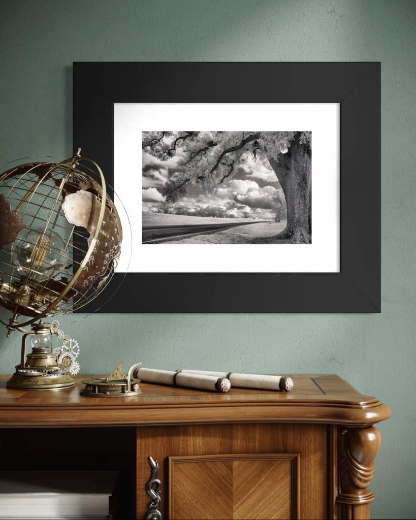 River Road Framed Print for Home or Office, Louisiana Framed Art Prints